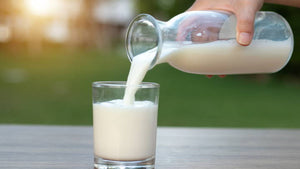 LECHE UNA VISIÓN GLOBAL