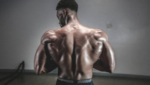 FIBRAS MUSCULARES
