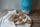 GALLETITAS DE AVENA Y CANELA SIN AZÚCAR
